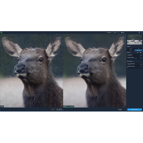 Дистанційне встановлення Topaz DeNoise AI